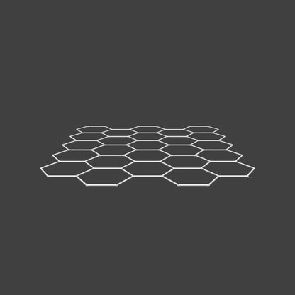 25-Grid Large Hexagon Light (5.7x4.8m, 752W)